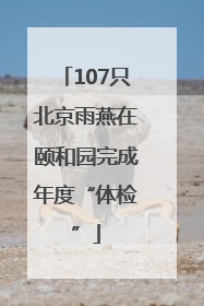 107只北京雨燕在颐和园完成年度“体检”